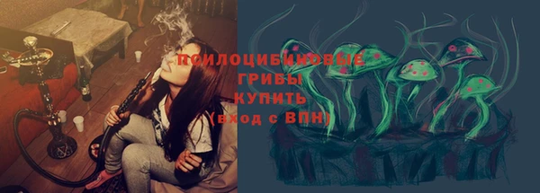 винт Армянск
