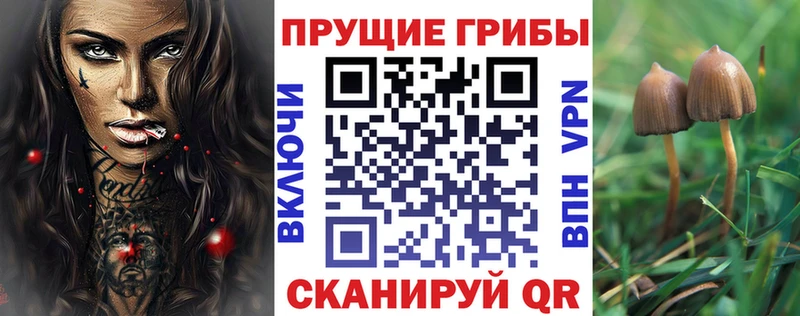 Галлюциногенные грибы мицелий  Новосокольники 